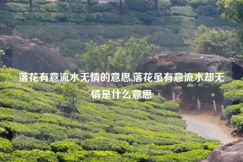 落花有意流水无情的意思,落花虽有意流水却无情是什么意思