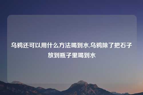乌鸦还可以用什么方法喝到水,乌鸦除了把石子放到瓶子里喝到水
