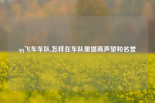 qq飞车车队,怎样在车队里提高声望和名誉