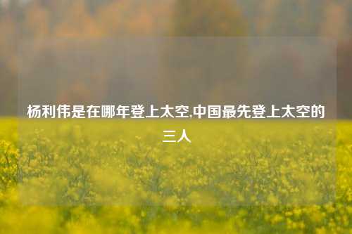杨利伟是在哪年登上太空,中国最先登上太空的三人