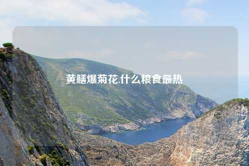 黄鳝爆菊花,什么粮食最热