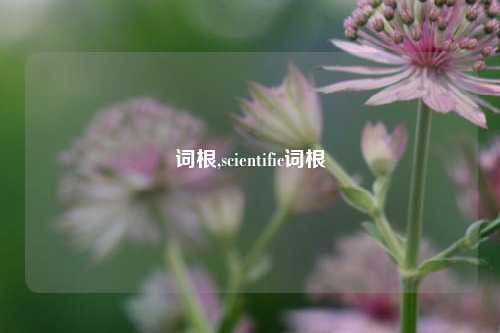 词根,scientific词根