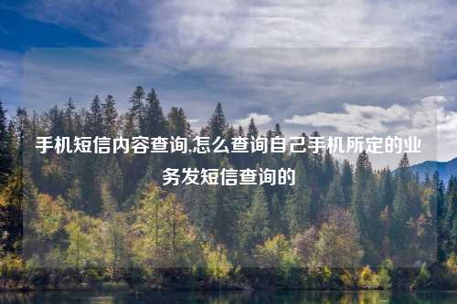 手机短信内容查询,怎么查询自己手机所定的业务发短信查询的