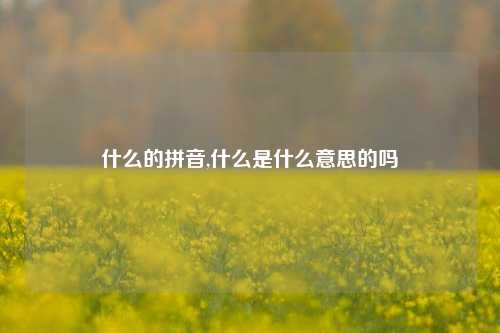 什么的拼音,什么是什么意思的吗