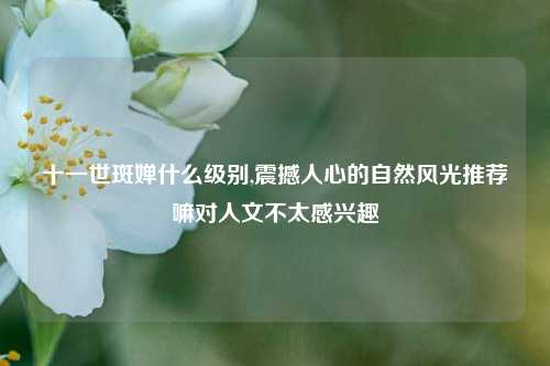 十一世斑婵什么级别,震撼人心的自然风光推荐嘛对人文不太感兴趣
