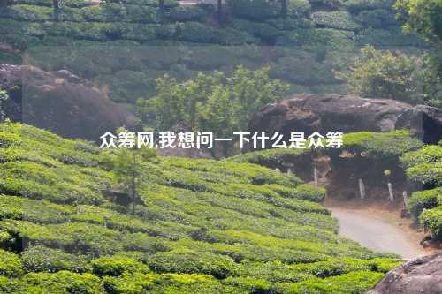 众筹网,我想问一下什么是众筹