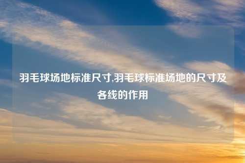 羽毛球场地标准尺寸,羽毛球标准场地的尺寸及各线的作用
