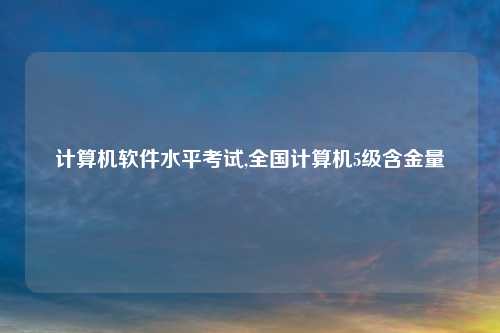 计算机软件水平考试,全国计算机5级含金量
