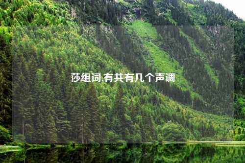 莎组词,有共有几个声调