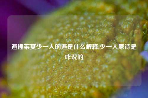 遍插茱萸少一人的遍是什么解释,少一人原诗是咋说的