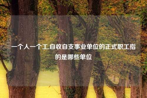 一个人一个工,自收自支事业单位的正式职工指的是哪些单位