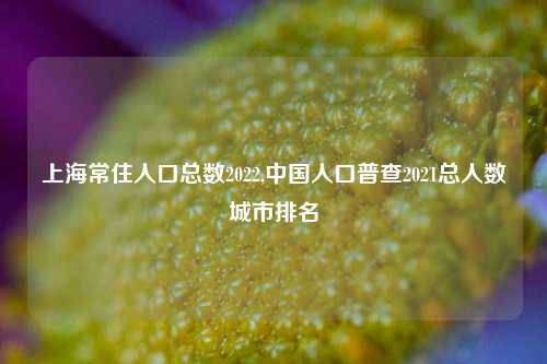 上海常住人口总数2022,中国人口普查2021总人数城市排名
