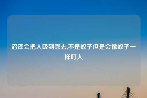 沼泽会把人吸到哪去,不是蚊子但是会像蚊子一样叮人