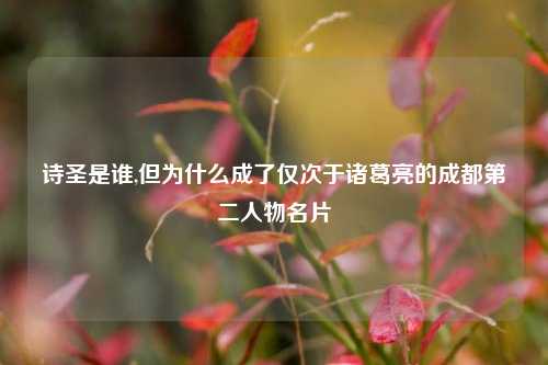 诗圣是谁,但为什么成了仅次于诸葛亮的成都第二人物名片