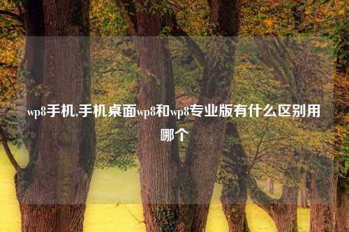 wp8手机,手机桌面wp8和wp8专业版有什么区别用哪个
