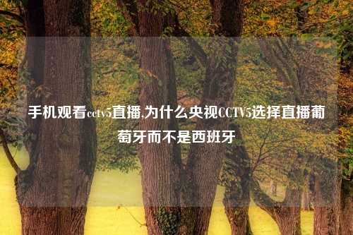 手机观看cctv5直播,为什么央视CCTV5选择直播葡萄牙而不是西班牙