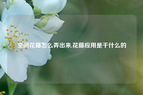 空间花藤怎么弄出来,花藤应用是干什么的