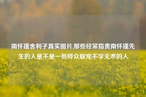 南怀瑾舍利子真实图片,那些经常指责南怀瑾先生的人是不是一些哗众取宠不学无术的人