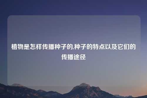 植物是怎样传播种子的,种子的特点以及它们的传播途径