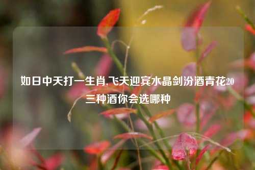 如日中天打一生肖,飞天迎宾水晶剑汾酒青花20三种酒你会选哪种