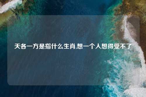 天各一方是指什么生肖,想一个人想得受不了