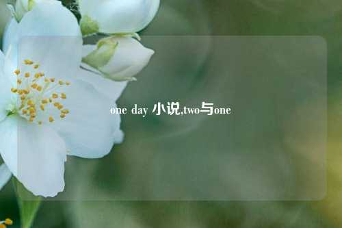 one day 小说,two与one