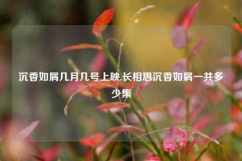 沉香如屑几月几号上映,长相思沉香如屑一共多少集