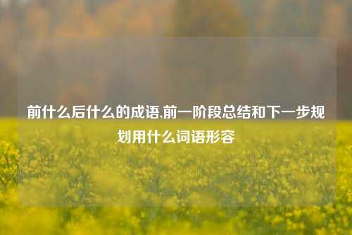 前什么后什么的成语,前一阶段总结和下一步规划用什么词语形容