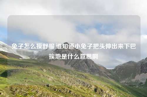 兔子怎么摸舒服,谁知道小兔子把头伸出来下巴挨地是什么意思啊