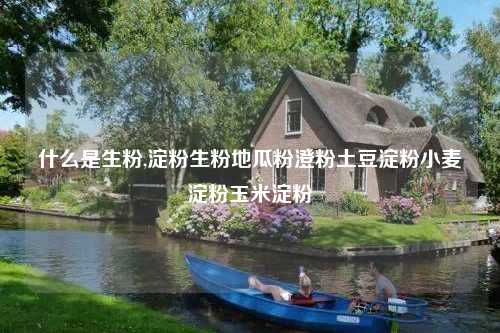 什么是生粉,淀粉生粉地瓜粉澄粉土豆淀粉小麦淀粉玉米淀粉