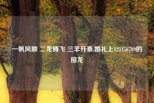 一帆风顺 二龙腾飞 三羊开泰,婚礼上123456789的接龙