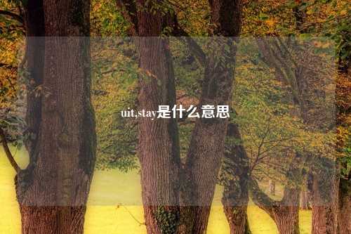 uit,stay是什么意思