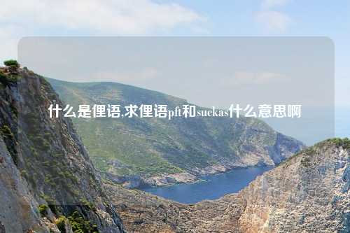 什么是俚语,求俚语pft和suckas什么意思啊