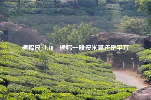横幅尺寸,10 横幅一般按米算还是平方
