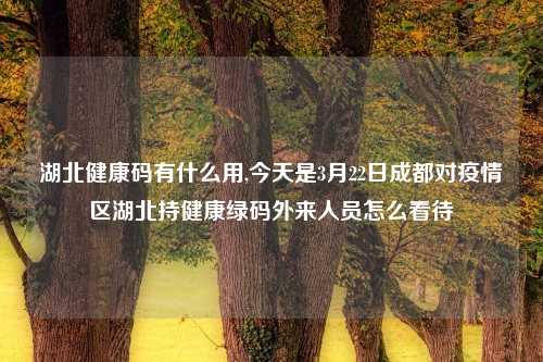 湖北健康码有什么用,今天是3月22日成都对疫情区湖北持健康绿码外来人员怎么看待