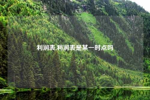 利润表,利润表是某一时点吗