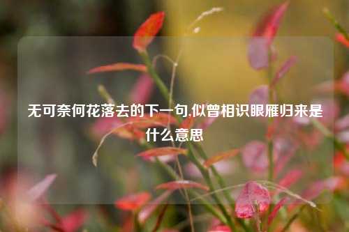 无可奈何花落去的下一句,似曾相识眼雁归来是什么意思