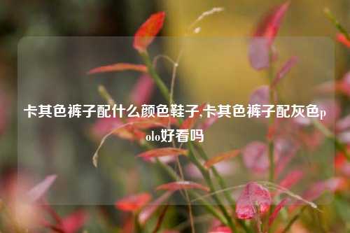 卡其色裤子配什么颜色鞋子,卡其色裤子配灰色polo好看吗