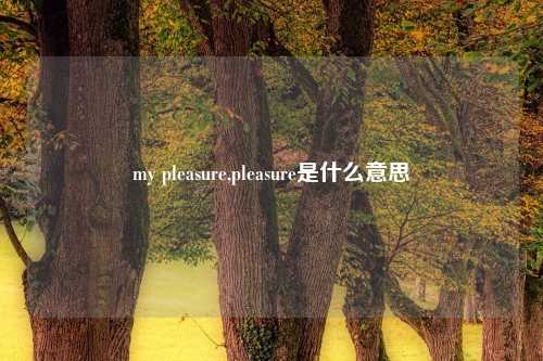 my pleasure,pleasure是什么意思