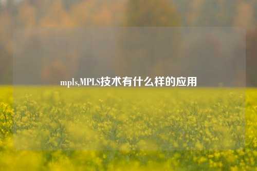 mpls,MPLS技术有什么样的应用