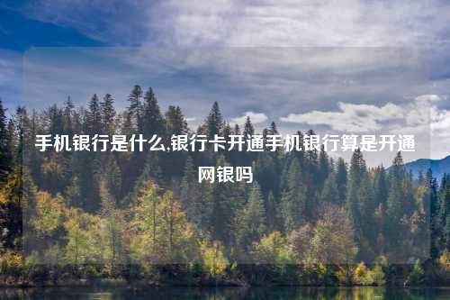 手机银行是什么,银行卡开通手机银行算是开通网银吗