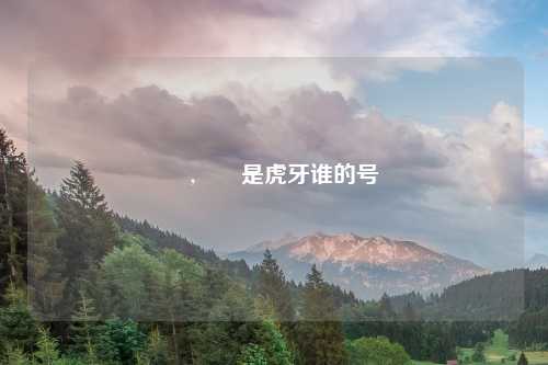 嫑,嫑忈是虎牙谁的号
