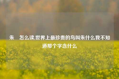 朱鹮怎么读,世界上最珍贵的鸟叫朱什么我不知道那个字念什么