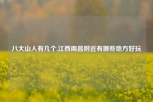 八大山人有几个,江西南昌附近有哪些地方好玩
