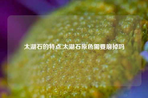 太湖石的特点,太湖石原色需要磨掉吗