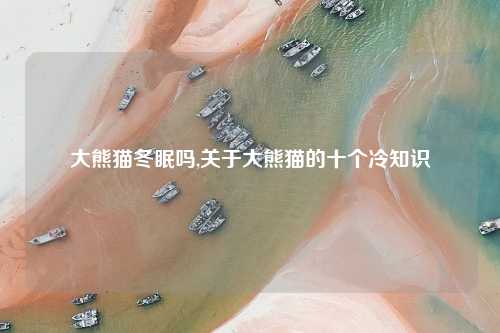 大熊猫冬眠吗,关于大熊猫的十个冷知识