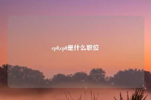 cp0,cp0是什么职位