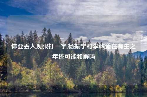 休要丢人现眼打一字,杨振宁和李政道在有生之年还可能和解吗