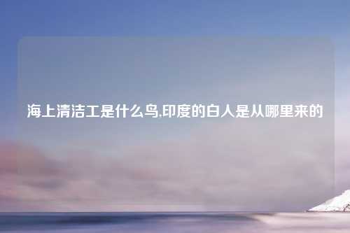 海上清洁工是什么鸟,印度的白人是从哪里来的