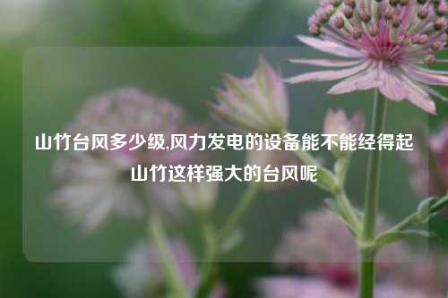 山竹台风多少级,风力发电的设备能不能经得起山竹这样强大的台风呢
